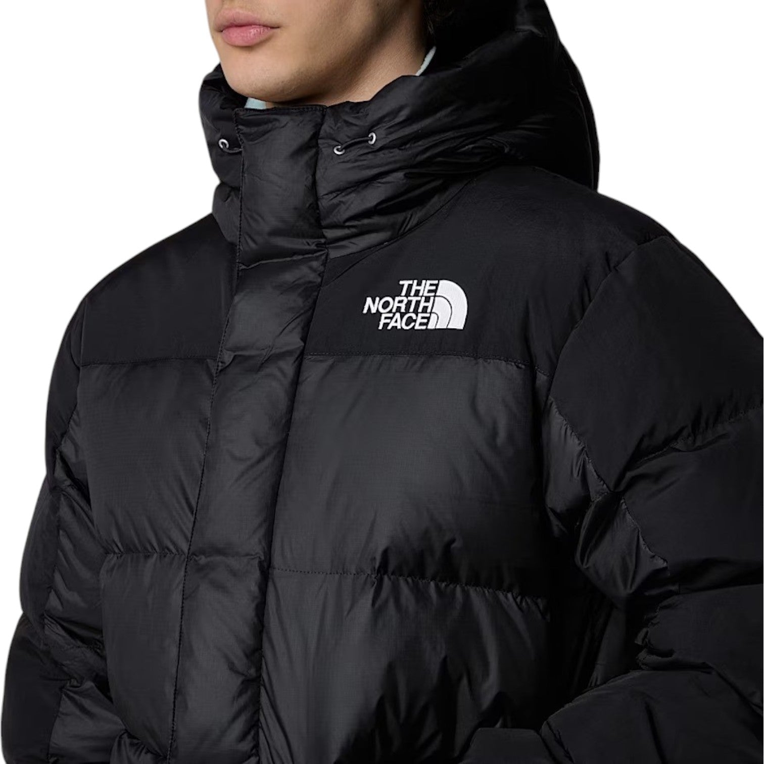 The North Face Parka in piumino Himalayan Uomo