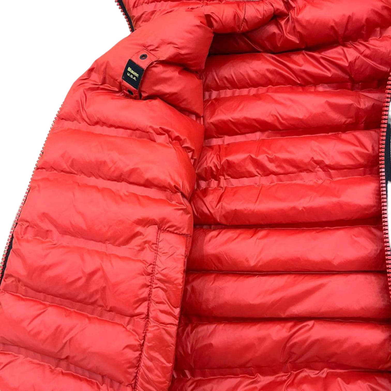 Blauer Piumino Reversibile Lennon Uomo
