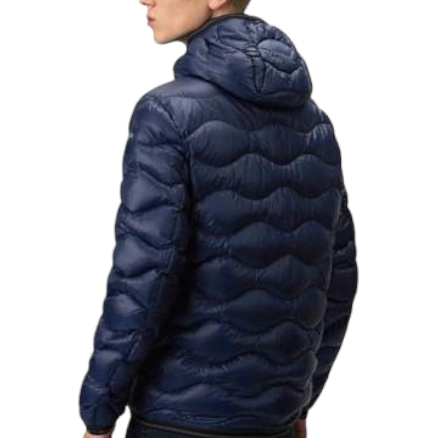 Blauer Piumino Terence Uomo
