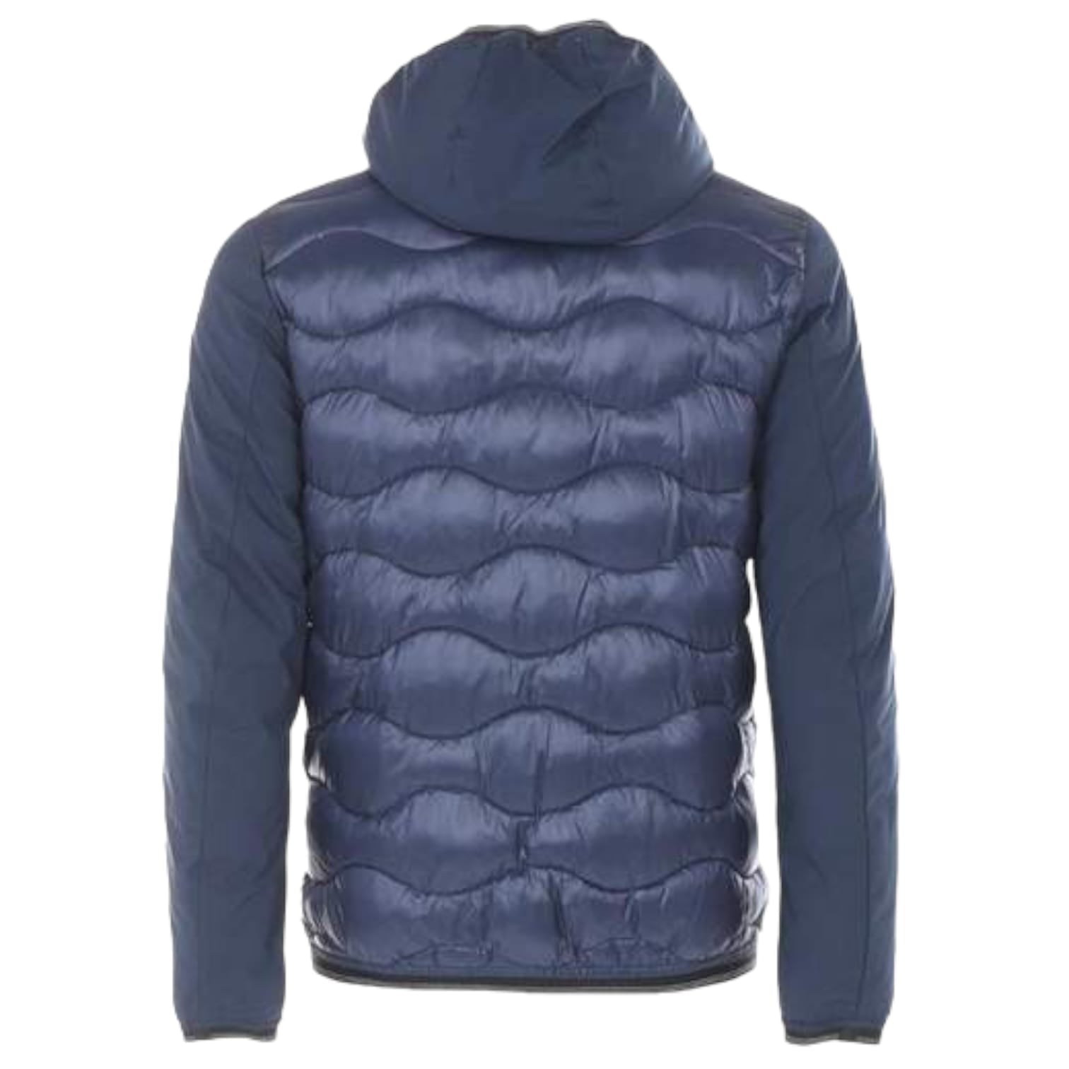 Blauer Piumino Nixon Uomo